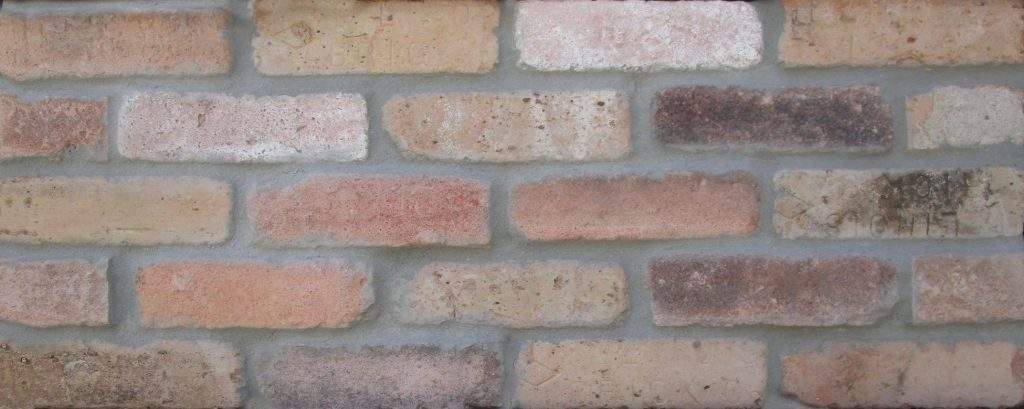 Dolphin Mixed Brick